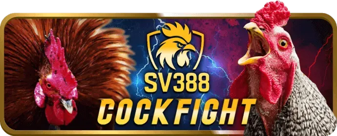 Liên hệ hỗ trợ khách hàng rr8811 casino